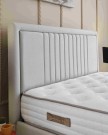 Dreamwell Başlık modern kadife