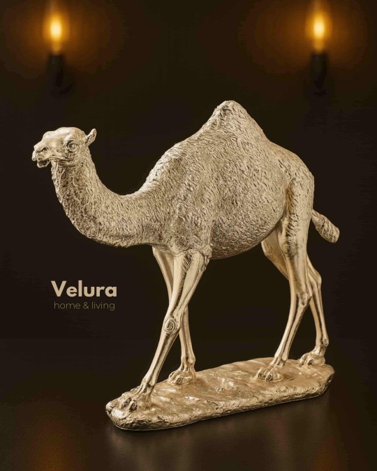 Aykam (Gold Deve) Aksesuar