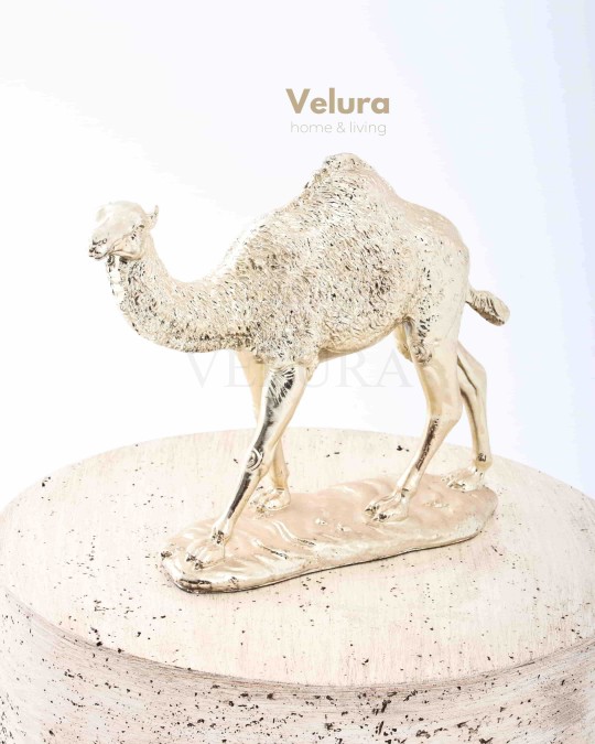 Aykam (Gold Deve) Aksesuar