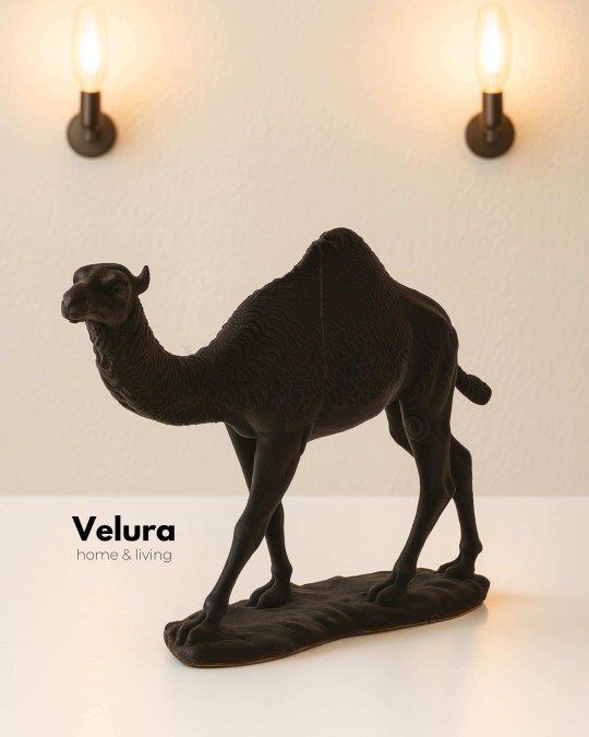 Aykam (Siyah Deve) Aksesuar