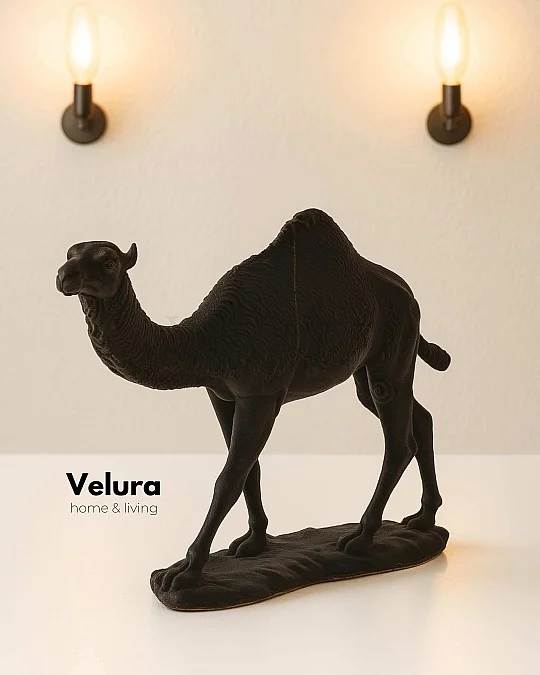 Aykam (Siyah Deve) Aksesuar