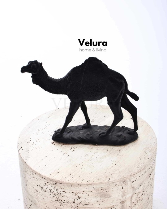 Aykam (Siyah Deve) Aksesuar