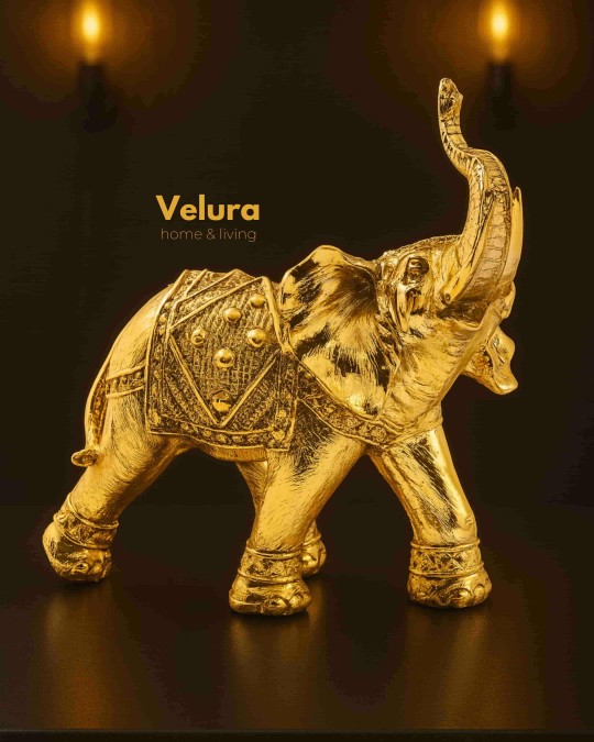 Timur (Gold Fil) Aksesuar