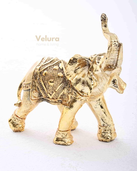 Timur (Gold Fil) Aksesuar