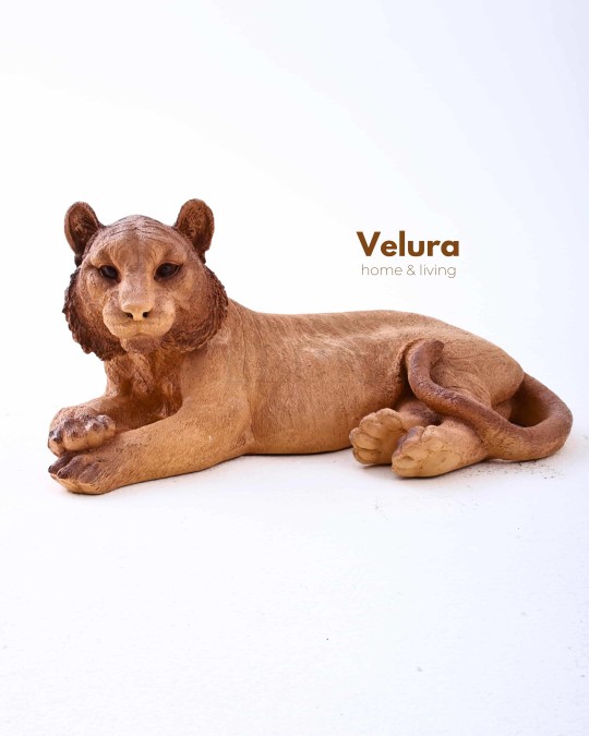 Bars (Kaplan) Aksesuar