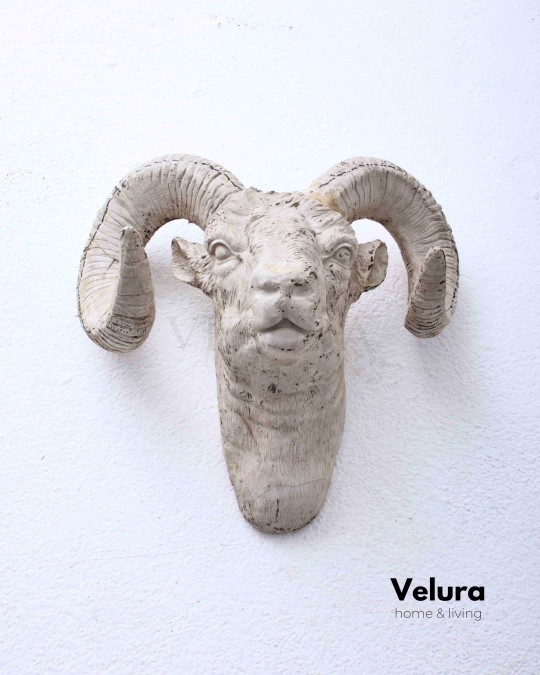 Pan's (Keçi) Aksesuar