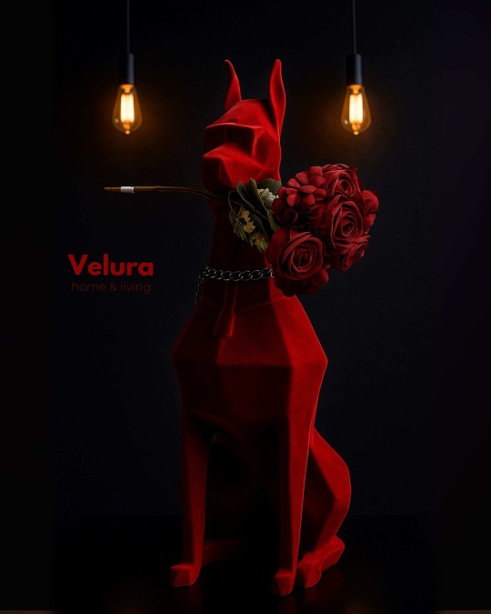 Bekit (Köpek) Aksesuar