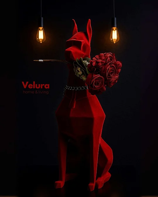 Bekit (Köpek) Aksesuar