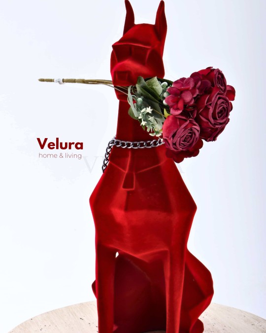 Bekit (Köpek) Aksesuar