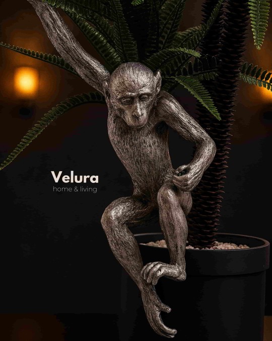 Hanuman (Maymun) Aksesuar