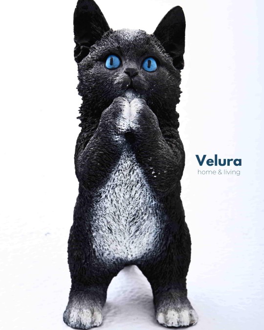 Smokin (Kedi) Aksesuar