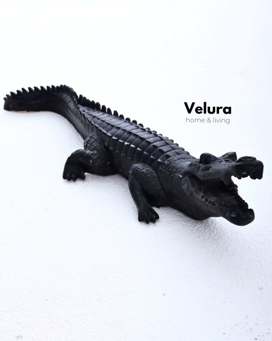 Nilex (Timsah) Aksesuar