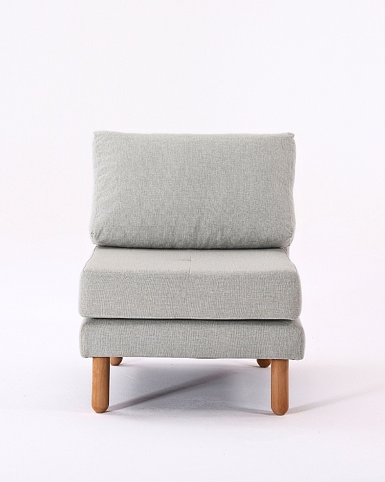 Armin Sırtlı Piyon