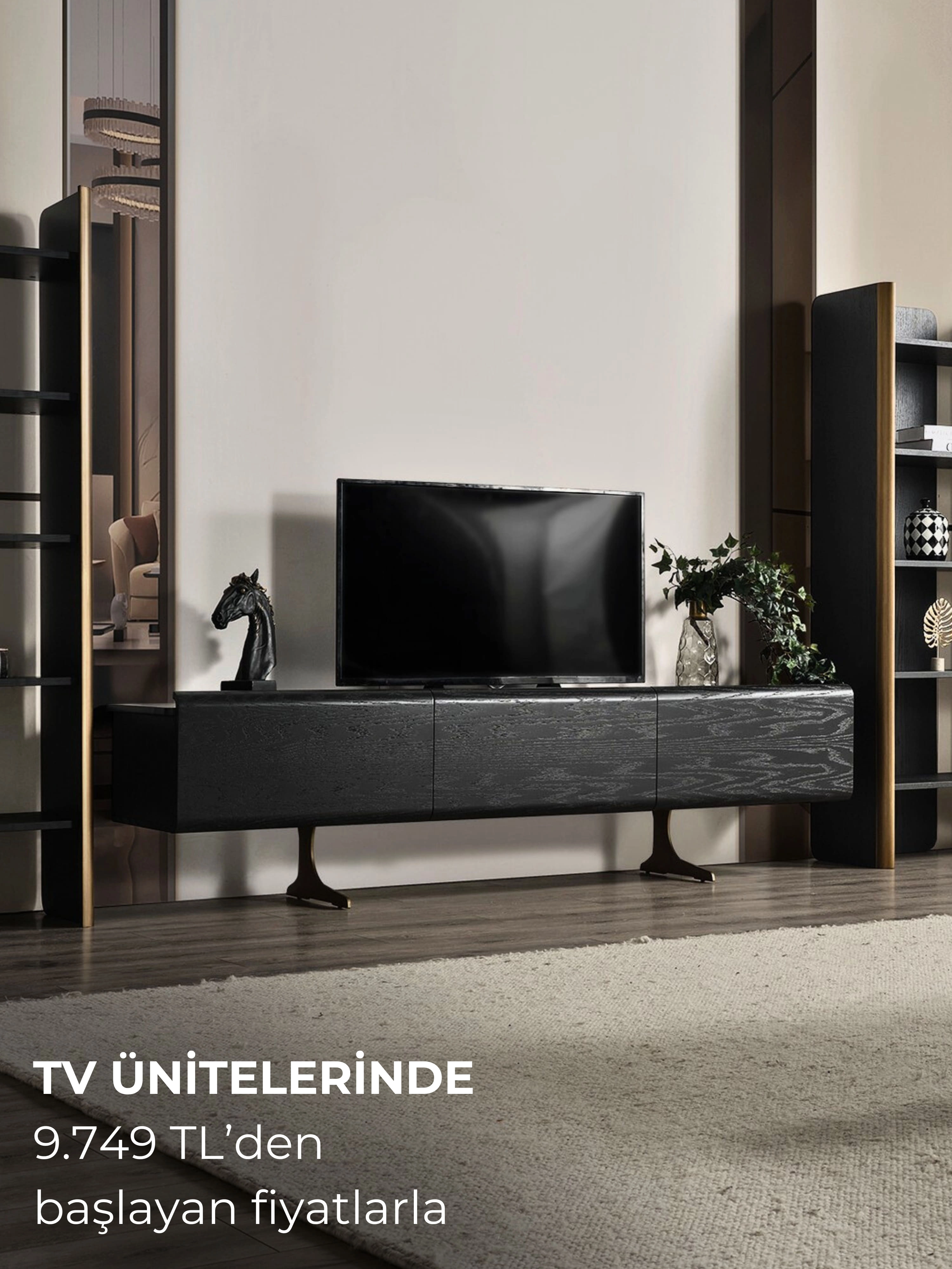 Tv Üniteleri
