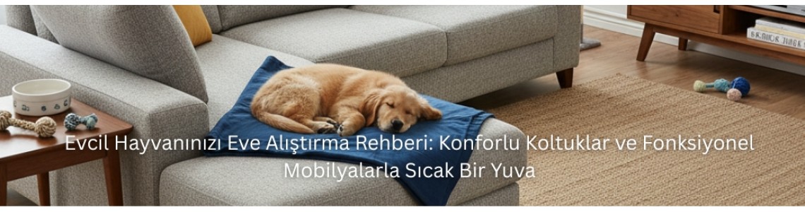 Evcil Hayvanınızı Eve Alıştırma Rehberi: Konforlu Koltuklar ve Fonksiyonel Mobilyalarla Sıcak Bir Yuva Evcil Hayvanınızı Eve Alıştırma Rehberi: Konforlu Koltuklar ve Fonksiyonel Mobilyalarla Sıcak Bir Yuva