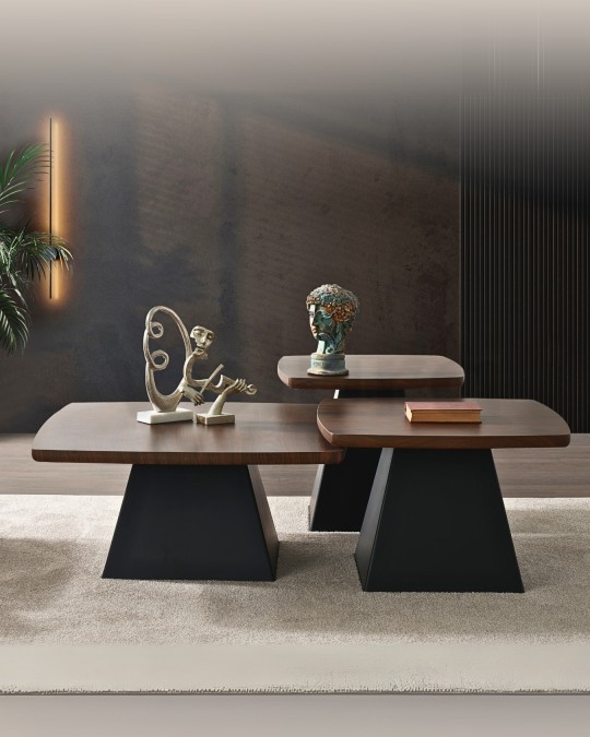 Zett Ahşap Orta Sehpa